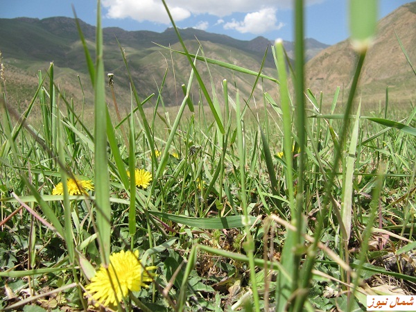 آبشار و دریاچه دریوک