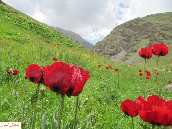 آبشار و دریاچه دریوک