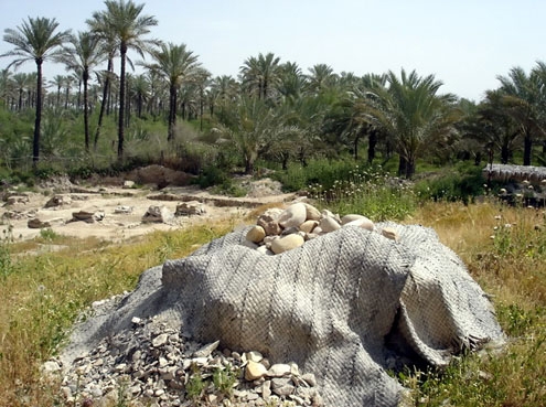 کاخ بردک سیاه