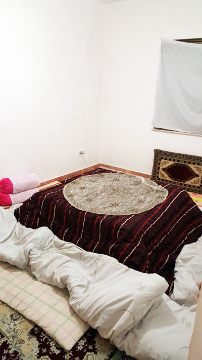 هتل آپارتمان نگین الموت