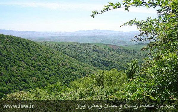 پناهگاه حیات وحش خوش ییلاق