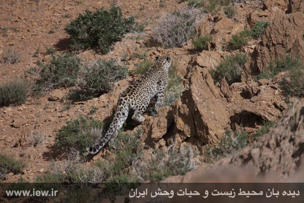 پناهگاه حیات وحش خوش ییلاق