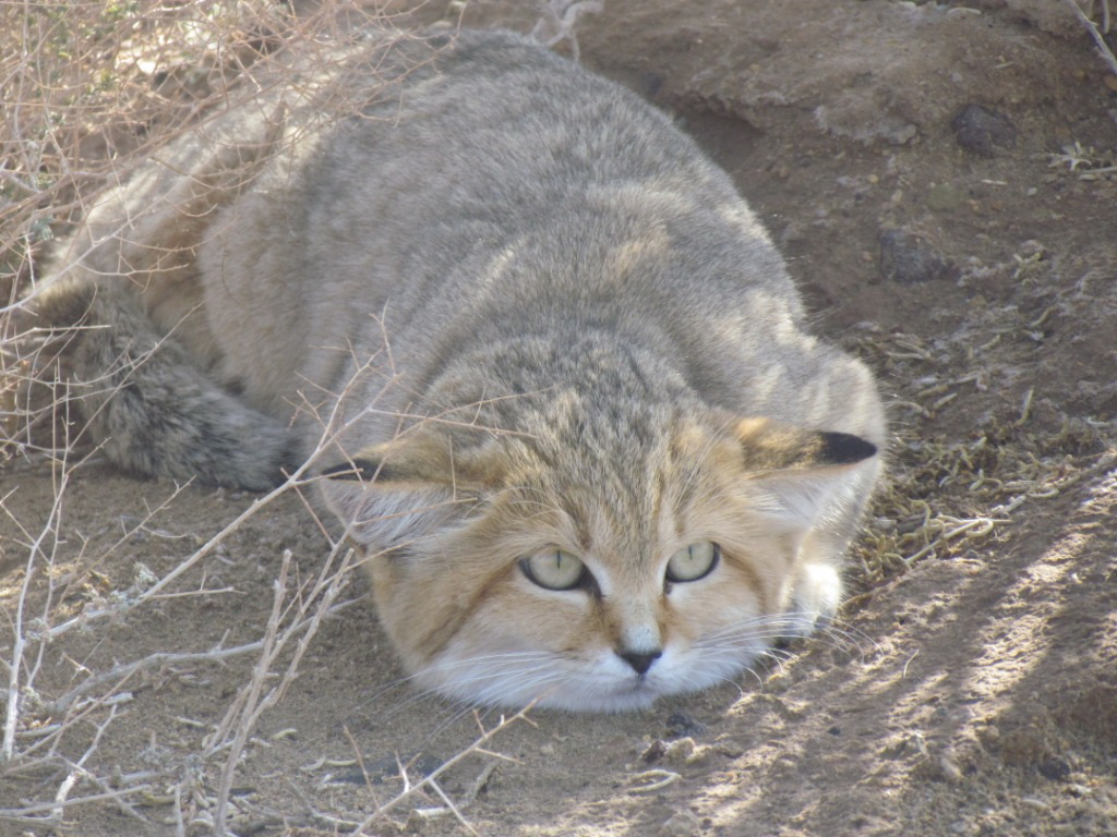 پارک ملی کویر
