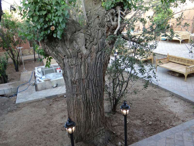 هتل سنتی نخجیر نراق