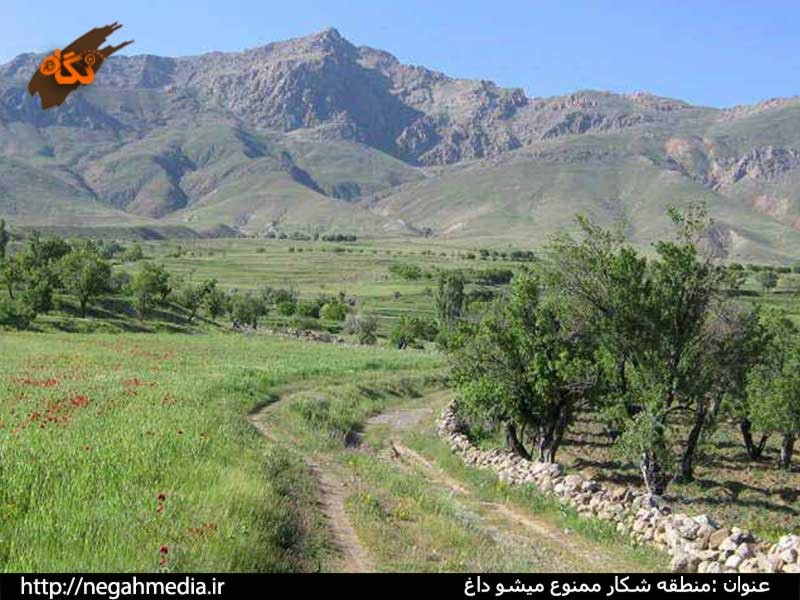 منطقه حفاظت شده میشو داغ