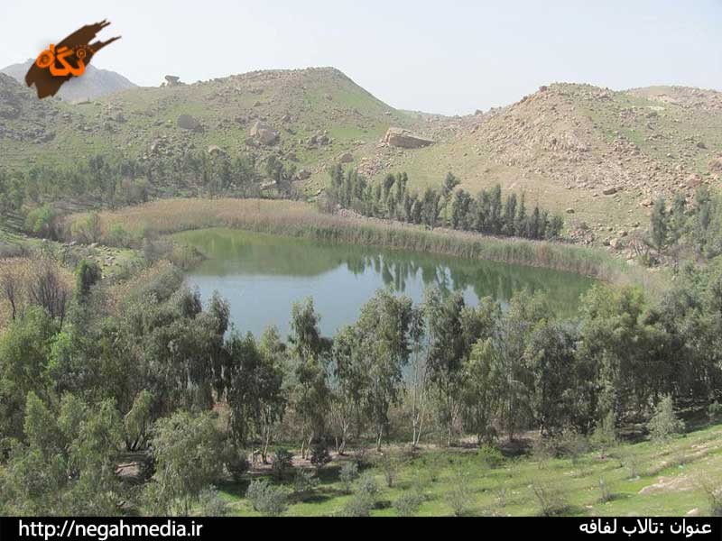 تالابهای پلدختر
