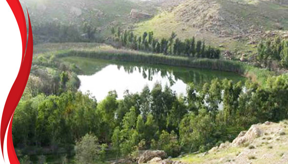 تالابهای پلدختر