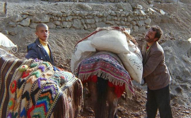 موزه گیاهان دارویی البرز