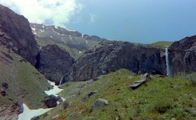 موزه گیاهان دارویی البرز