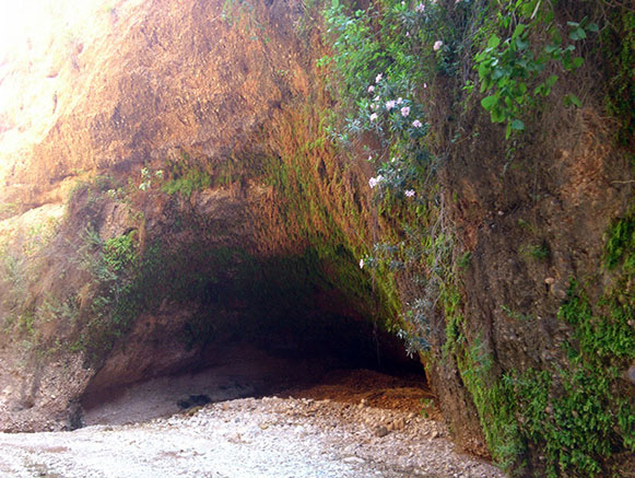 کول خرسان