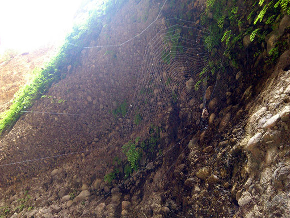 کول خرسان