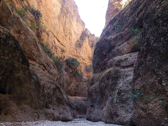 کول خرسان