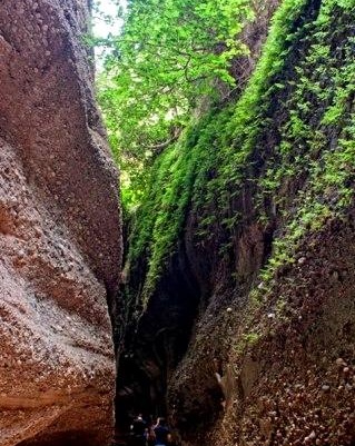 کول خرسان
