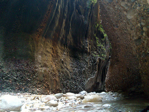 کول خرسان