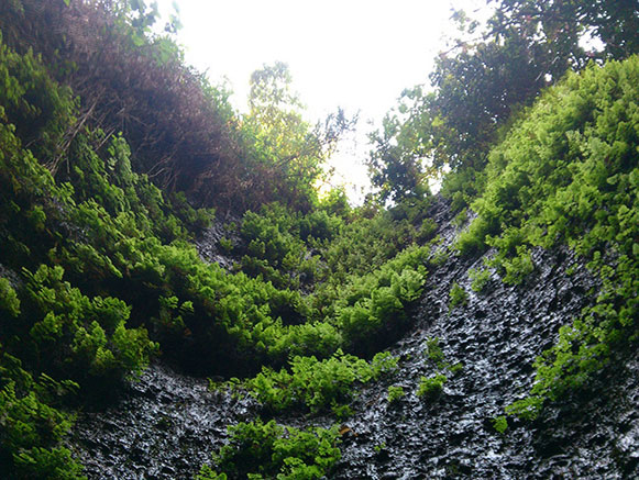 کول خرسان