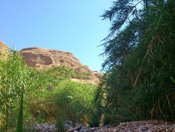 کول خرسان
