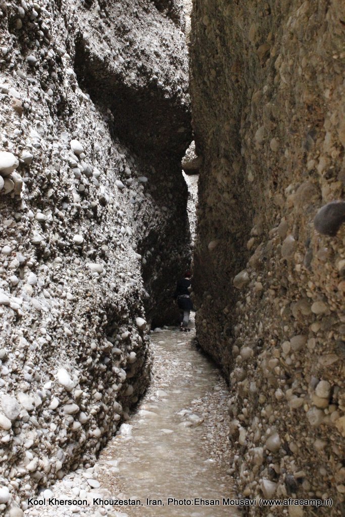 کول خرسان