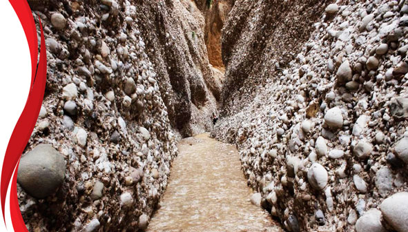کول خرسان