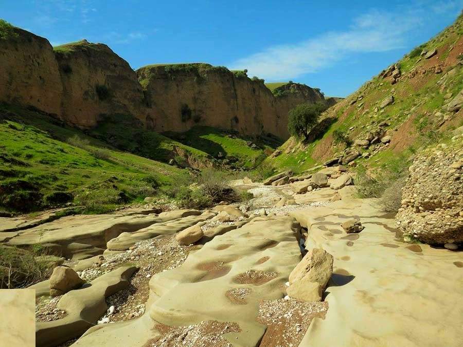 کول خرسان