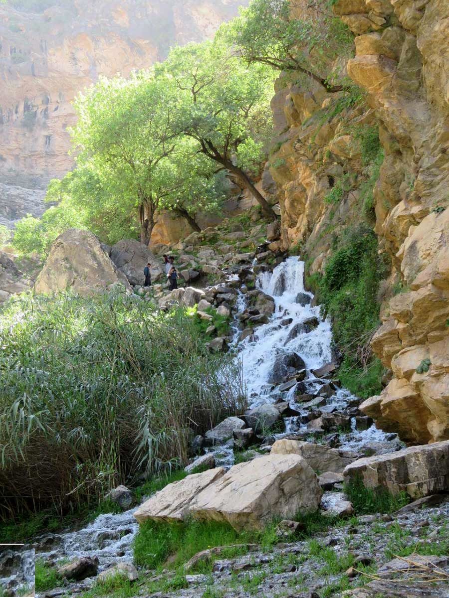 کول خرسان