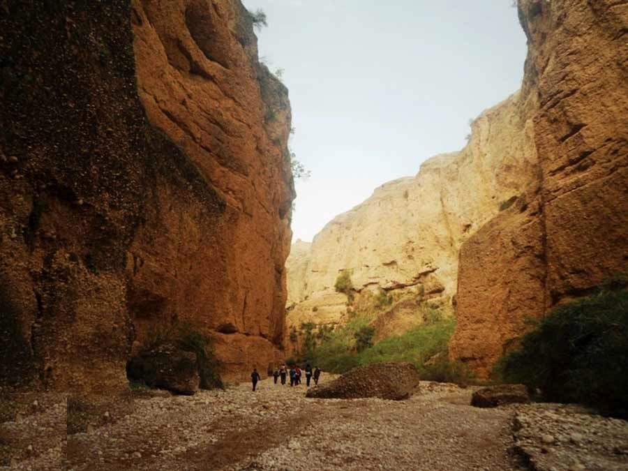 کول خرسان