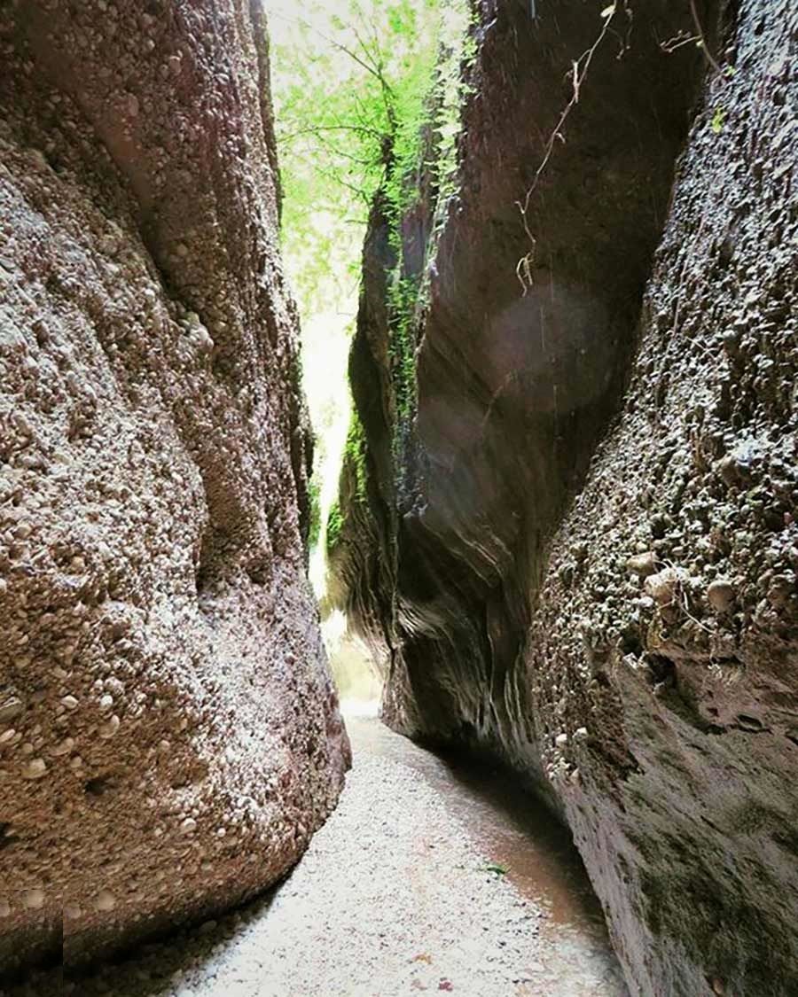 کول خرسان