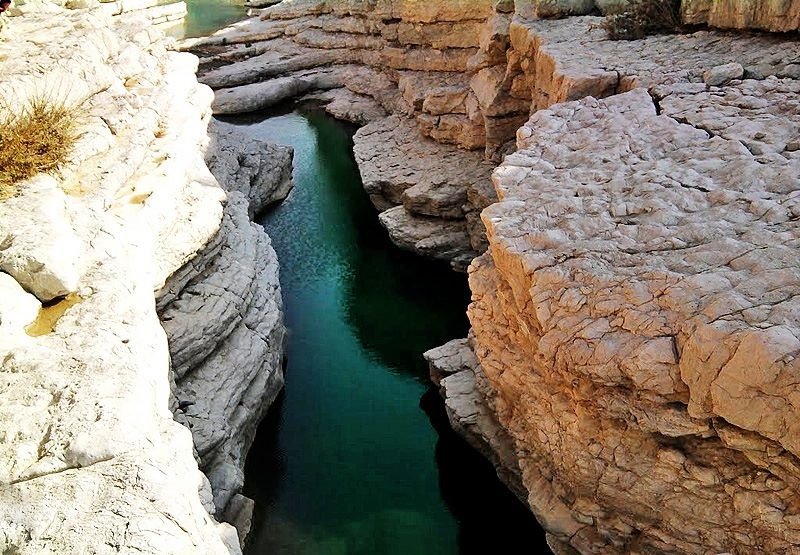 کول خرسان