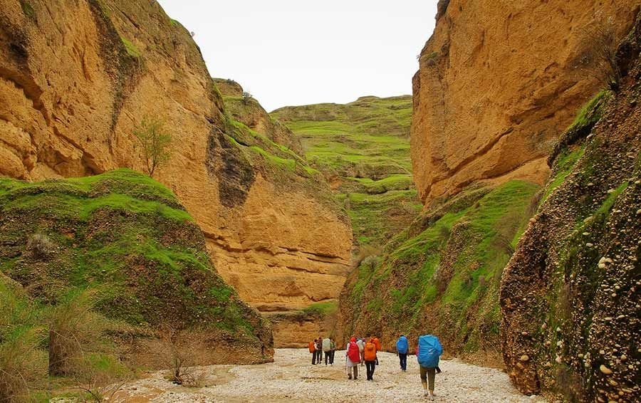 کول خرسان