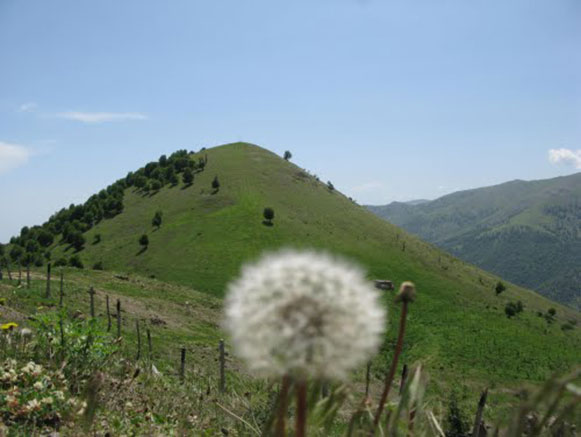 روستای ماجلان