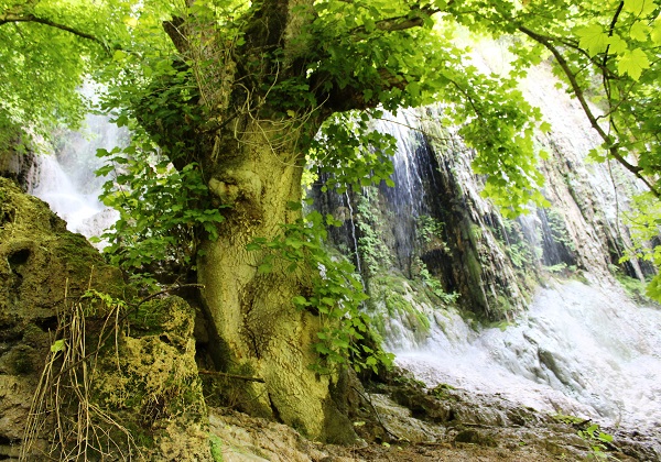آبشار پیرغار گالیکش