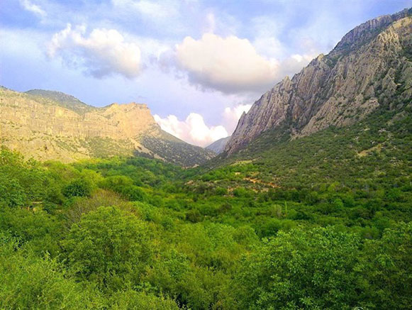 بوان ممسنی