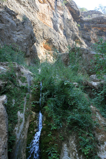 بوان ممسنی