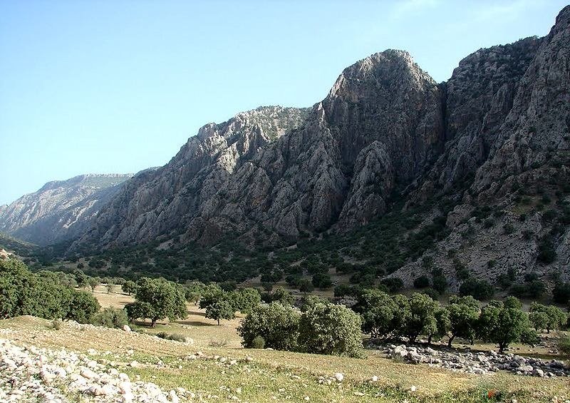 بوان ممسنی