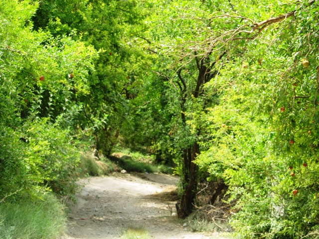 بوان ممسنی