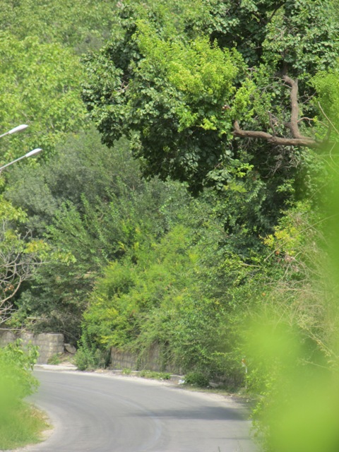 بوان ممسنی