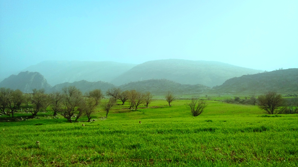 هرایرز ممسنی