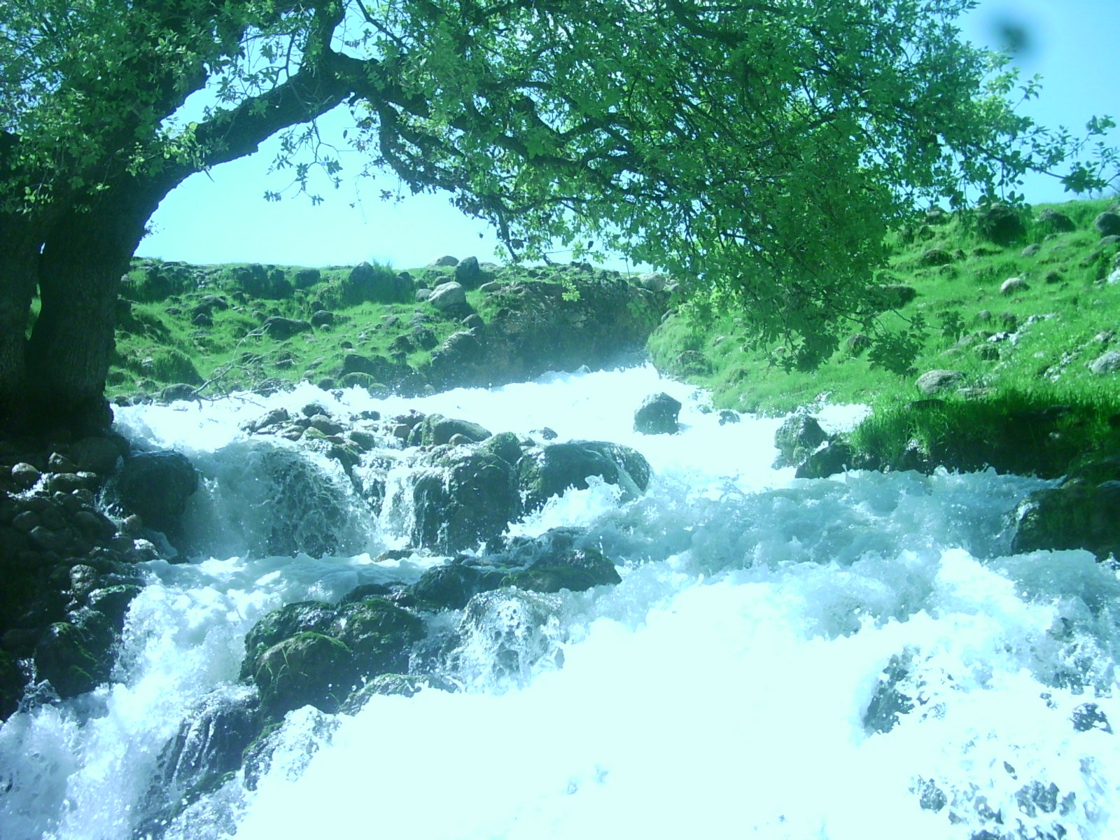 هرایرز ممسنی
