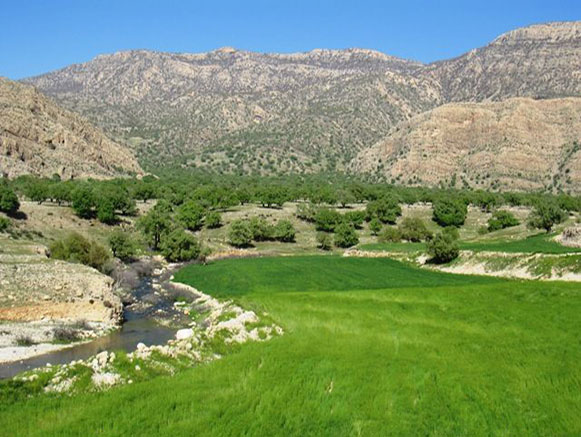 هرایرز ممسنی