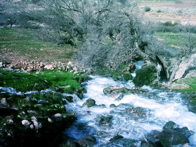 هرایرز ممسنی