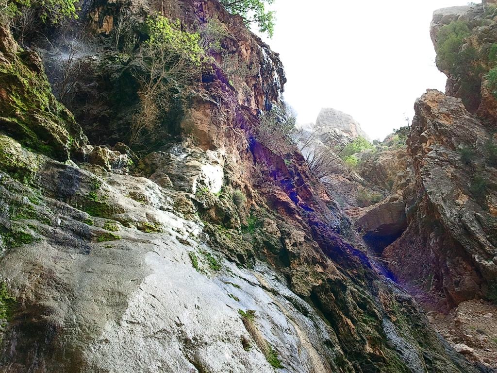 هرایرز ممسنی