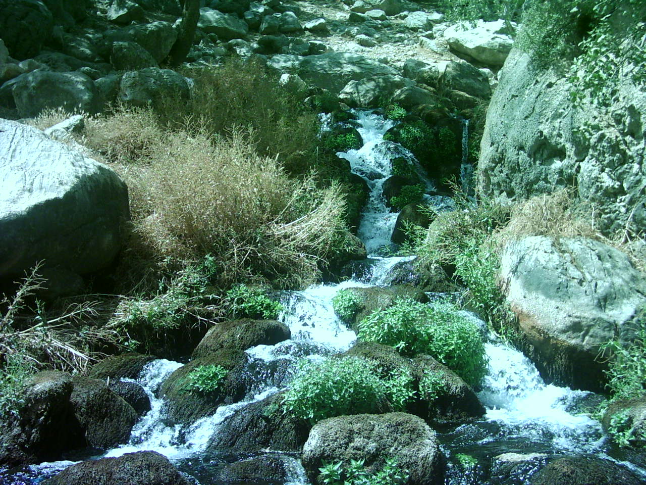 هرایرز ممسنی