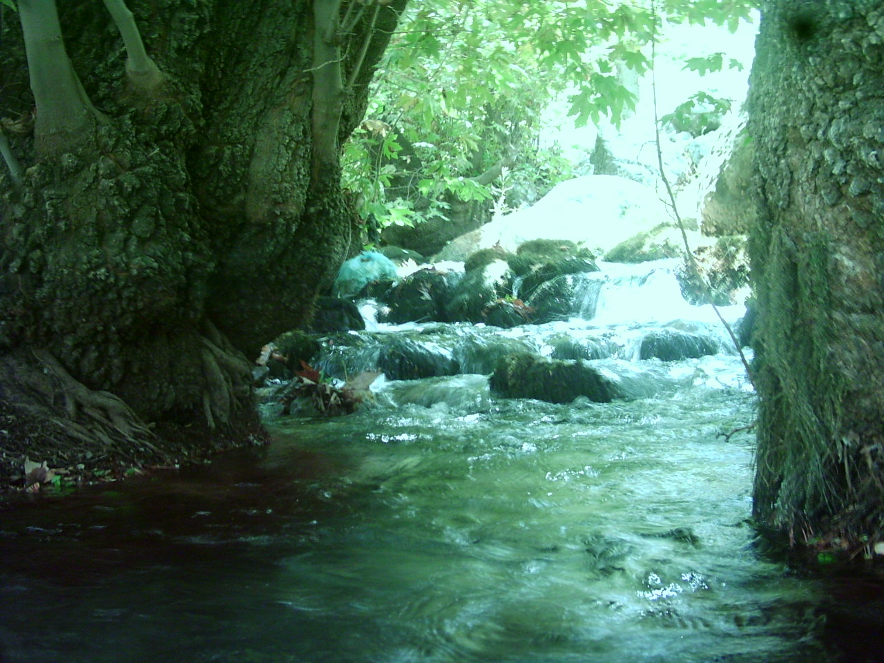 هرایرز ممسنی