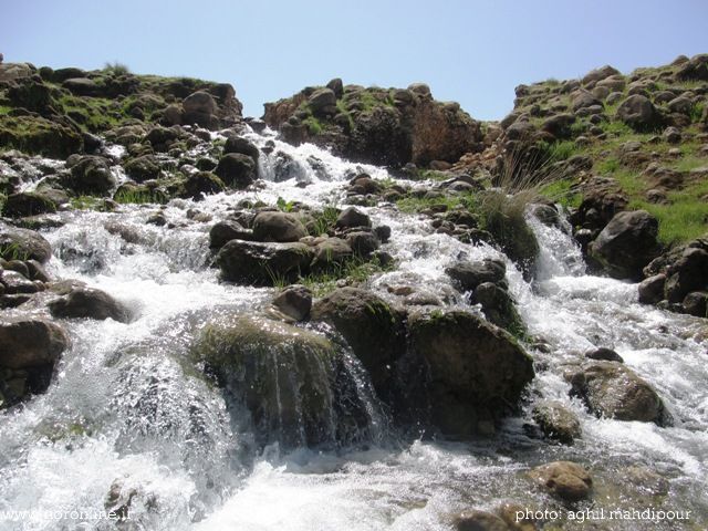 هرایرز ممسنی
