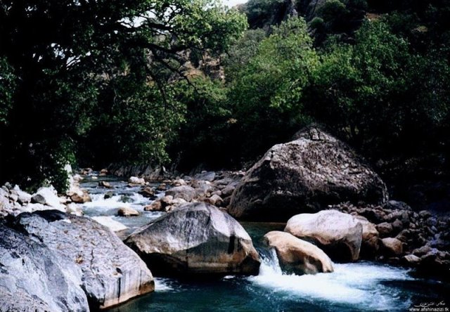 هرایرز ممسنی