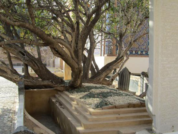 آرامگاه شیخ احمد جامی
