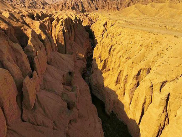 کال جنی طبس