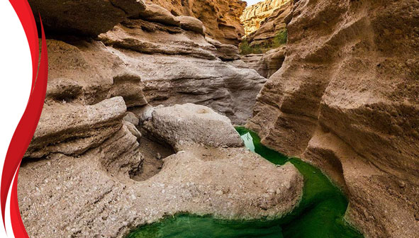 کال جنی طبس