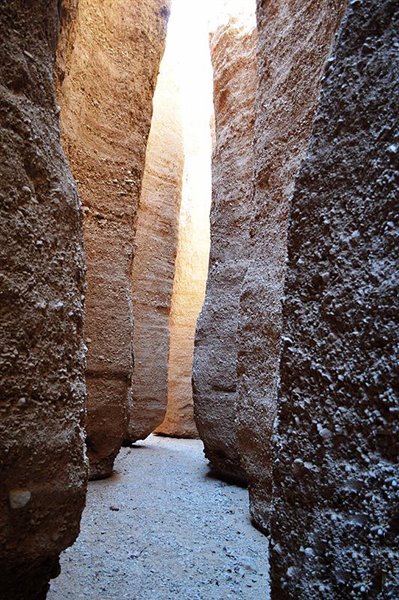 کال جنی طبس