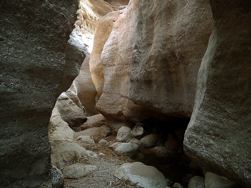 کال جنی طبس