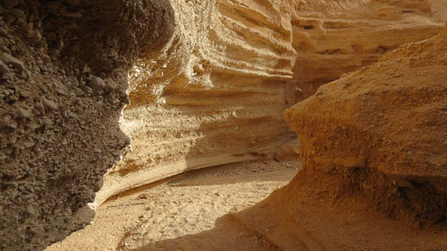 کال جنی طبس